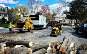 Best Lawn Fertilization  in Lakemont, PA